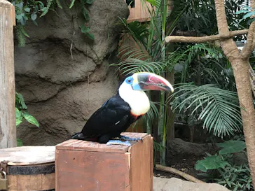 神戸どうぶつ王国に投稿された画像（2022/8/19）