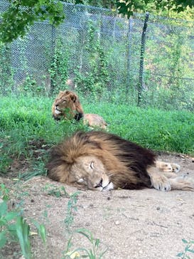 姫路セントラルパークに投稿された画像（2022/8/19）