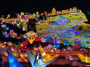 伊豆ぐらんぱる公園に投稿された画像（2022/8/19）