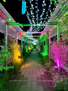 せんだい農業園芸センター　みどりの杜に投稿された画像（2022/8/19）