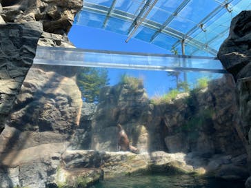 環境水族館アクアマリンふくしまに投稿された画像（2022/8/19）