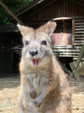 伊豆シャボテン動物公園に投稿された画像（2022/8/19）