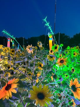 せんだい農業園芸センター　みどりの杜に投稿された画像（2022/8/19）