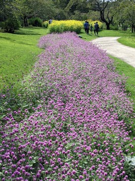 はままつフラワーパークに投稿された画像（2022/8/19）