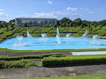 はままつフラワーパークに投稿された画像（2022/8/19）