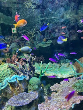 サンシャイン水族館に投稿された画像（2022/8/19）