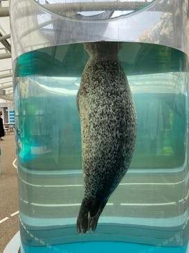 京都水族館に投稿された画像（2022/8/19）