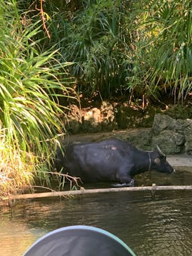 ビオスの丘に投稿された画像（2022/8/19）