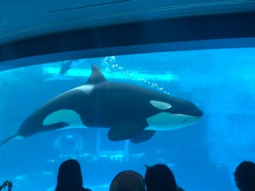 名古屋港水族館に投稿された画像（2022/8/15）