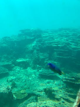 串本海中公園水族館に投稿された画像（2022/8/19）