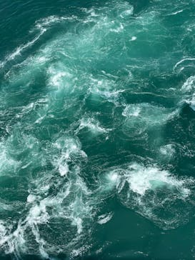 徳島県立 渦の道に投稿された画像（2022/8/19）