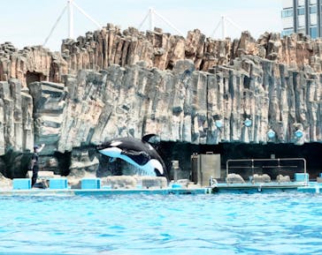 名古屋港水族館に投稿された画像（2022/8/19）