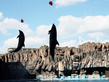 名古屋港水族館に投稿された画像（2022/8/19）