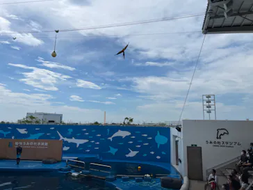 仙台うみの杜水族館に投稿された画像（2022/8/19）