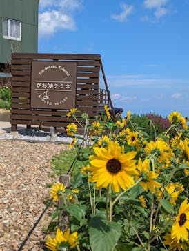 びわ湖バレイに投稿された画像（2022/8/19）