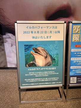 京都水族館に投稿された画像（2022/8/20）
