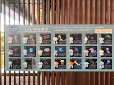 京都水族館に投稿された画像（2022/8/20）