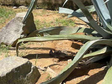 姫路セントラルパークに投稿された画像（2022/8/20）