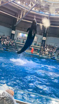 マクセル アクアパーク品川に投稿された画像（2022/8/20）