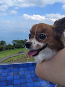 びわ湖バレイに投稿された画像（2022/8/20）