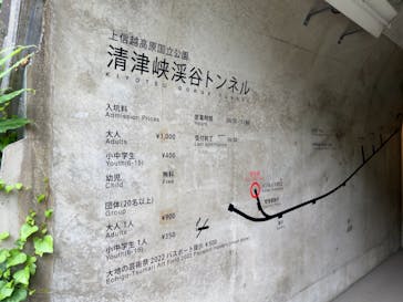 清津峡渓谷トンネルに投稿された画像（2022/8/20）