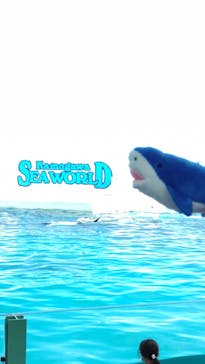 鴨川シーワールドに投稿された画像（2022/8/20）