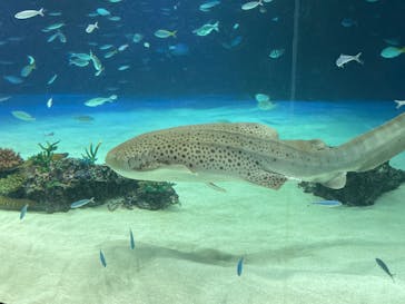 サンシャイン水族館に投稿された画像（2022/8/20）