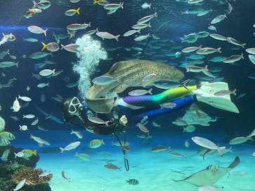 サンシャイン水族館に投稿された画像（2022/8/20）