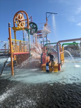 蓮沼ウォーターガーデンに投稿された画像（2022/8/20）