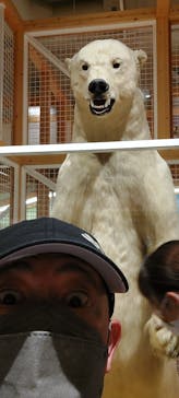 国立科学博物館に投稿された画像（2022/8/20）