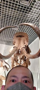 国立科学博物館に投稿された画像（2022/8/20）