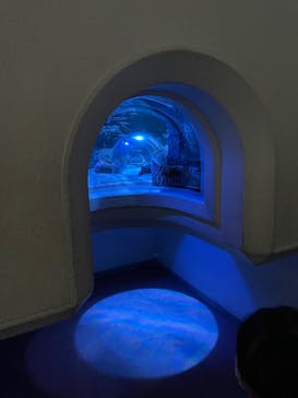 名古屋港水族館に投稿された画像（2022/8/20）