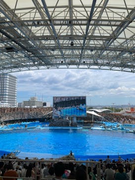 名古屋港水族館に投稿された画像（2022/8/20）