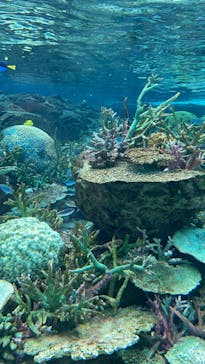 名古屋港水族館に投稿された画像（2022/8/20）