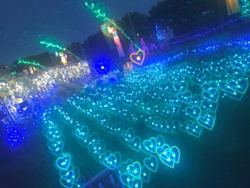 せんだい農業園芸センター　みどりの杜に投稿された画像（2022/8/20）