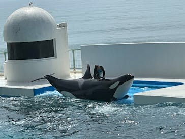 鴨川シーワールドに投稿された画像（2022/8/20）