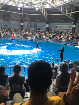マクセル アクアパーク品川に投稿された画像（2022/8/20）
