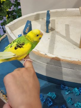 アニタッチみなとみらいに投稿された画像（2022/8/20）