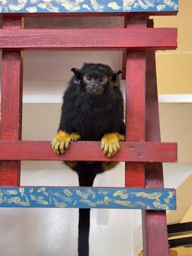 アニタッチみなとみらいに投稿された画像（2022/8/20）