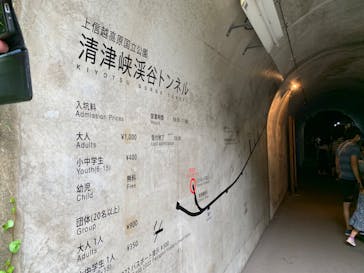 清津峡渓谷トンネルに投稿された画像（2022/8/20）