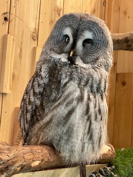 伊豆シャボテン動物公園に投稿された画像（2022/8/20）