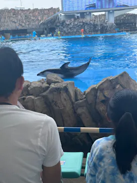 名古屋港水族館に投稿された画像（2022/8/20）