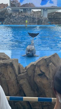 名古屋港水族館に投稿された画像（2022/8/20）