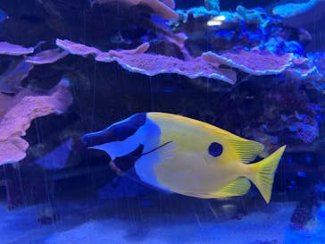 名古屋港水族館に投稿された画像（2022/8/20）