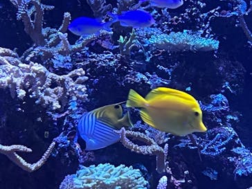 名古屋港水族館に投稿された画像（2022/8/20）