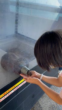 大分マリーンパレス水族館 「うみたまご」に投稿された画像（2022/8/20）