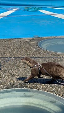 大分マリーンパレス水族館 「うみたまご」に投稿された画像（2022/8/20）