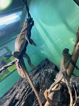 サンシャイン水族館に投稿された画像（2022/8/20）