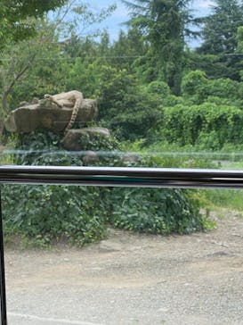 群馬サファリパークに投稿された画像（2022/8/20）