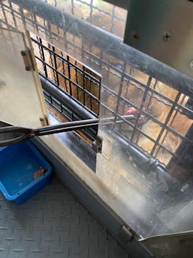 群馬サファリパークに投稿された画像（2022/8/20）